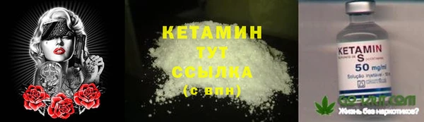 хмурый Ладушкин