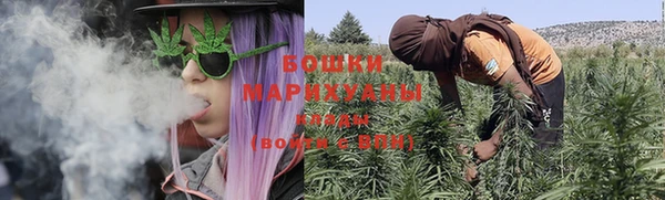 хмурый Ладушкин