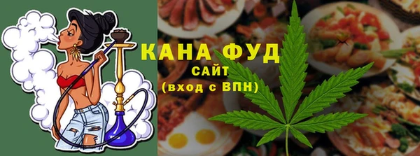 гашик Алзамай