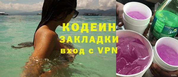 хмурый Ладушкин